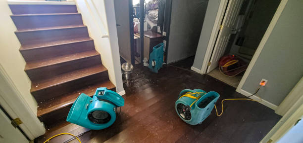 Best Water damage restoration near me  in The Colony, TX