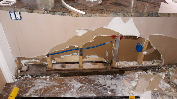 Best Water damage restoration services  in The Colony, TX