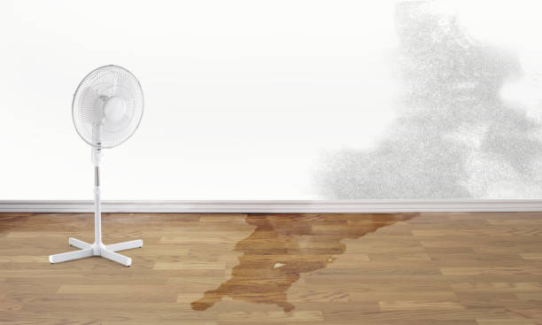 Best Local water damage restoration  in The Colony, TX