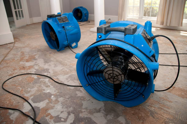 Best Flood damage cleanup  in The Colony, TX