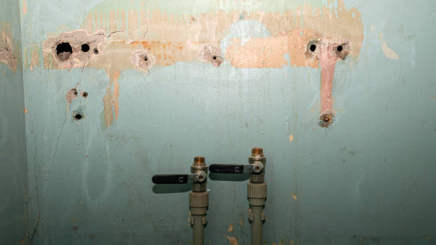  The Colony, TX Water damage restoration Pros