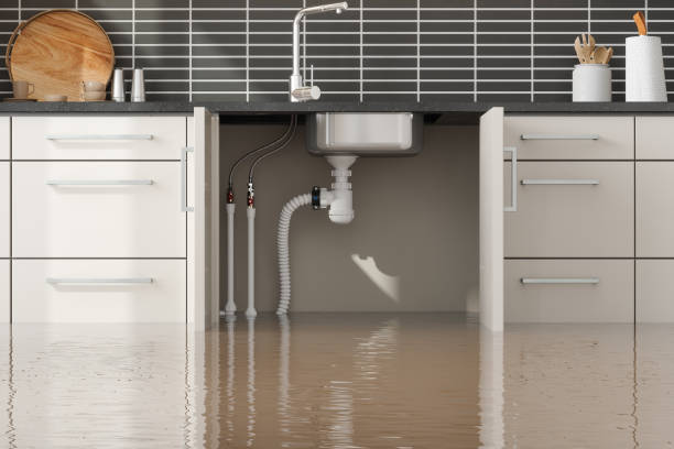 Best Emergency water damage restoration  in The Colony, TX