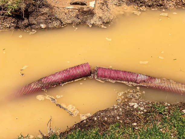 Best Water damage contractors near me  in The Colony, TX