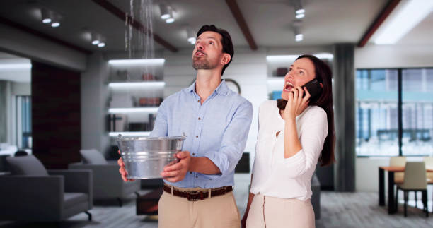 Best Flood restoration services  in The Colony, TX